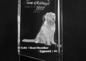 3D Laser Hundeverein Pokal Wanderpreis Trophäe