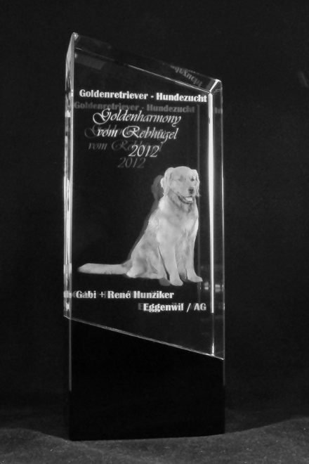 3D Laser Hundeverein Pokal Wanderpreis Trophäe