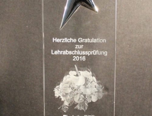 Award «Schlicht&Einfach-Stern»